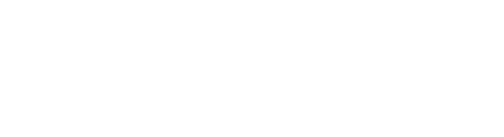 logo br blanc